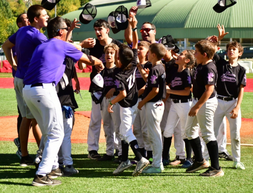 El equipo navarro Joakin Lizarraga subcampeones de España sub-10 de béisbol