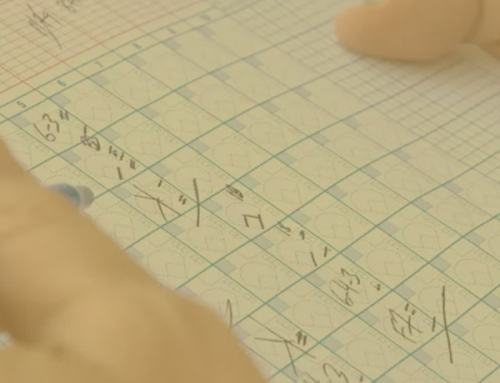 Curso de Anotación Nivel 1